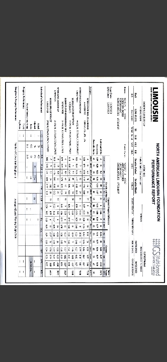 DORN BULL PAPERS #1