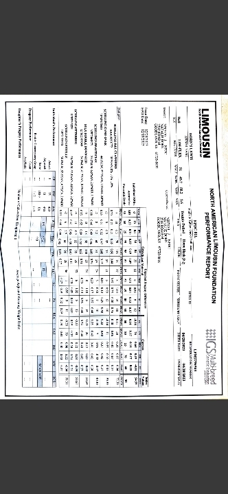 DORN BULL PAPERS #2